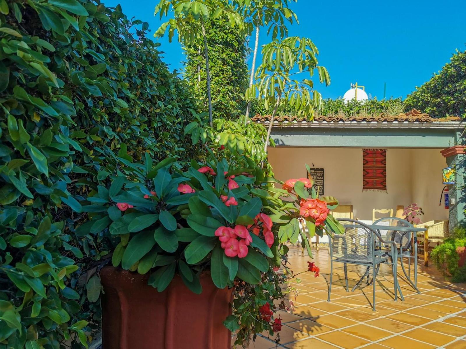 Hotel Casa Guiva Oaxaca Eksteriør bilde