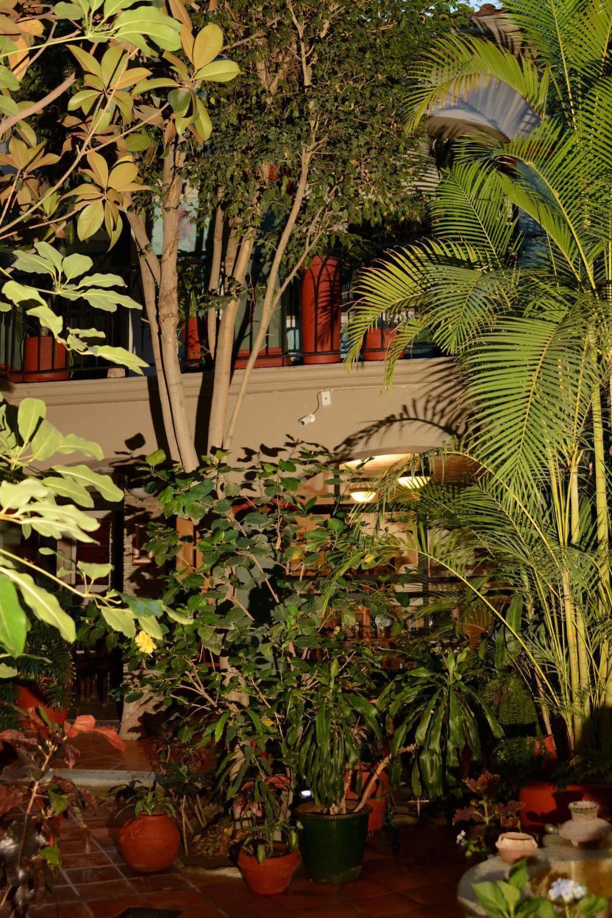 Hotel Casa Guiva Oaxaca Eksteriør bilde